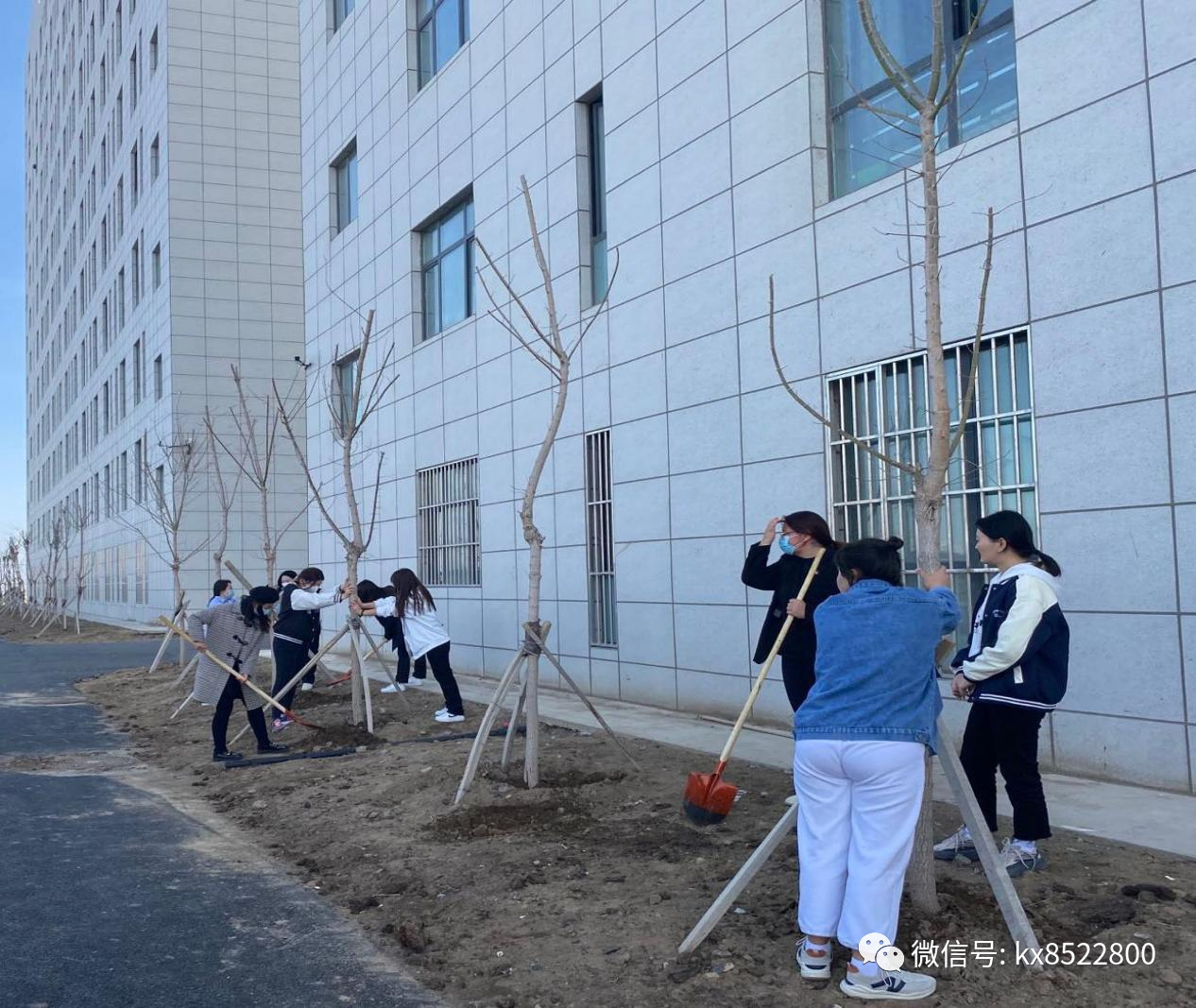 百日攻坚在行动，公共效劳与治理学院团结工业园社区妇联开展“植树造林、绿化情形、美化生涯”运动